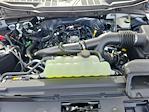 2025 Ford F-150 Regular Cab 4WD Pickup for sale #LFO250375 - photo 22