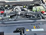 New 2025 Ford F-350 XL Crew Cab 4WD SRW Pickup for sale #LFO250418 - photo 21