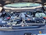 2025 Ford F-350 Crew Cab SRW 4WD Pickup for sale #LFO250551 - photo 21