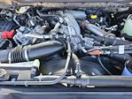 2025 Ford F-350 Crew Cab SRW 4WD Pickup for sale #LFO250551 - photo 22