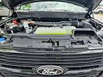 2025 Ford F-150 SuperCrew Cab 4WD Pickup for sale #LFO250561 - photo 21