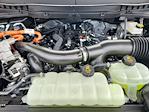 2025 Ford F-150 SuperCrew Cab 4WD Pickup for sale #LFO250561 - photo 22
