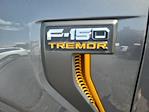 2025 Ford F-150 SuperCrew Cab 4WD Pickup for sale #LFO250579 - photo 24