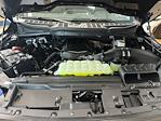 2025 Ford F-150 Regular Cab 4WD Pickup for sale #LFO250592 - photo 15