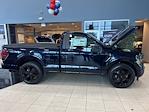 2025 Ford F-150 Regular Cab 4WD Pickup for sale #LFO250592 - photo 31