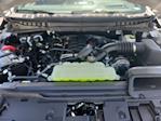 2025 Ford F-150 SuperCrew Cab 4WD Pickup for sale #LFO250598 - photo 21