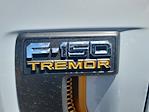 2025 Ford F-150 SuperCrew Cab 4WD Pickup for sale #LFO250598 - photo 24