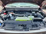 2025 Ford F-150 SuperCrew Cab 4WD Pickup for sale #LFO250604 - photo 21
