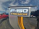 2025 Ford F-150 SuperCrew Cab 4WD Pickup for sale #LFO250605 - photo 24