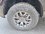 2025 Ford F-150 SuperCrew Cab 4WD Pickup for sale #LFO250605 - photo 26