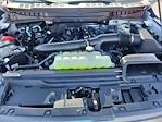 New 2025 Ford F-150 Tremor SuperCrew Cab 4WD Pickup for sale #LFO250615 - photo 21
