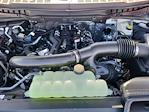 New 2025 Ford F-150 Tremor SuperCrew Cab 4WD Pickup for sale #LFO250615 - photo 22