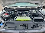 2025 Ford F-150 SuperCrew Cab 4WD Pickup for sale #LFO250617 - photo 21