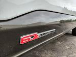 2025 Ford F-350 Crew Cab SRW 4WD Pickup for sale #LFO250699 - photo 24