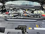 2025 Ford F-350 Crew Cab SRW 4WD Pickup for sale #LFO250700 - photo 21