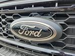 2025 Ford F-350 Crew Cab SRW 4WD Pickup for sale #LFO250700 - photo 23