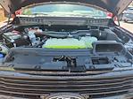 2025 Ford F-150 SuperCrew Cab 4WD Pickup for sale #LFO250730 - photo 21