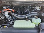 2025 Ford F-150 SuperCrew Cab 4WD Pickup for sale #LFO250730 - photo 22