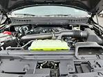 2025 Ford F-150 SuperCrew Cab 4WD Pickup for sale #LFO250731 - photo 21