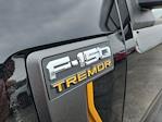 2025 Ford F-150 SuperCrew Cab 4WD Pickup for sale #LFO250731 - photo 24