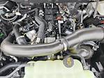 New 2025 Ford F-150 Tremor SuperCrew Cab 4WD Pickup for sale #LFO250762 - photo 22