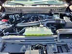2025 Ford F-150 SuperCrew Cab 4WD Pickup for sale #LFO250774 - photo 21