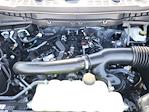 2025 Ford F-150 SuperCrew Cab 4WD Pickup for sale #LFO250774 - photo 22