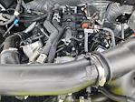 2025 Ford F-150 SuperCrew Cab 4WD Pickup for sale #LFO250776 - photo 22