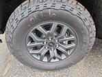 2025 Ford F-150 SuperCrew Cab 4WD Pickup for sale #LFO250776 - photo 26