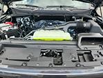 2025 Ford F-150 SuperCrew Cab 4WD Pickup for sale #LFO250863 - photo 21