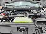 2025 Ford F-150 SuperCrew Cab 4WD Pickup for sale #LFO250879 - photo 21