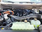 New 2025 Ford F-150 King Ranch SuperCrew Cab 4WD Pickup for sale #LFO250888 - photo 22