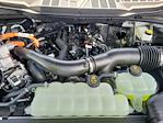 2025 Ford F-150 SuperCrew Cab 4WD Pickup for sale #LFO250954 - photo 22