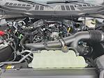 New 2025 Ford F-150 XL SuperCrew Cab 4WD Pickup for sale #LFO251070 - photo 22