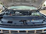 New 2025 Ford F-350 XLT Super Cab 4WD SRW Pickup for sale #LFO251168 - photo 21