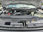 New 2025 Ford F-250 XL Crew Cab 4WD Pickup for sale #LFO251241 - photo 21