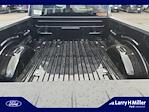 New 2025 Ford F-150 XL Regular Cab 4WD Pickup for sale #LFO251279 - photo 31