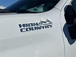 2024 Chevrolet Silverado 3500 Crew Cab 4WD Pickup for sale #G550102AA - photo 12