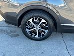2024 Kia Sportage FWD SUV for sale #P5221 - photo 42