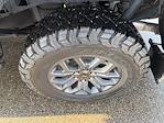 2023 Ford F-150 SuperCrew Cab 4WD Pickup for sale #92L3038 - photo 16
