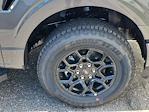 2024 Ford F-150 SuperCrew Cab 4x4 Pickup for sale #68757 - photo 16