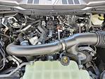 2024 Ford F-150 SuperCrew Cab 4x4 Pickup for sale #68765 - photo 17