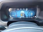 2024 Ford F-150 SuperCrew Cab 4x4 Pickup for sale #68868 - photo 20