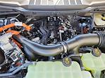 2024 Ford F-150 SuperCrew Cab 4x4 Pickup for sale #68900 - photo 17