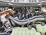 2024 Ford F-150 SuperCrew Cab 4x4 Pickup for sale #68902 - photo 17