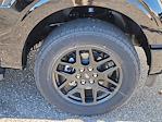 2024 Ford F-150 SuperCrew Cab 4x4 Pickup for sale #68977 - photo 19