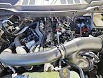 2024 Ford F-150 SuperCrew Cab 4x4 Pickup for sale #68981 - photo 14