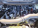 2024 Ford F-150 SuperCrew Cab 4x4 Pickup for sale #69533 - photo 11