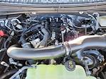 2024 Ford Expedition 4x4 SUV for sale #69568 - photo 16