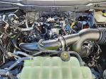 2024 Ford F-150 SuperCrew Cab 4x4 Pickup for sale #69645 - photo 17